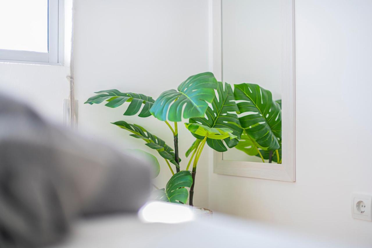 Levante Dreams House Tarifaアパートメント エクステリア 写真
